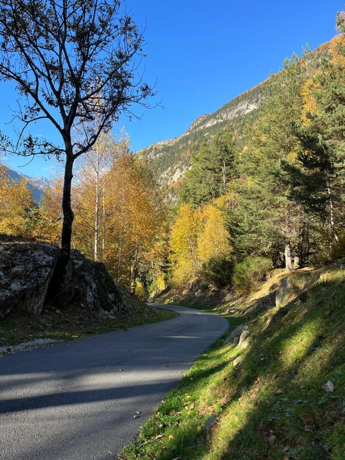 Resalbert Chalet Chiavenna Exteriör bild